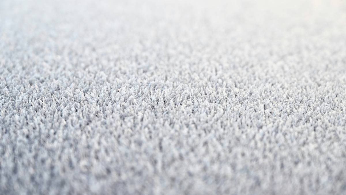 Chart comparing carpet padding types by density, thickness, and cost per sq ft