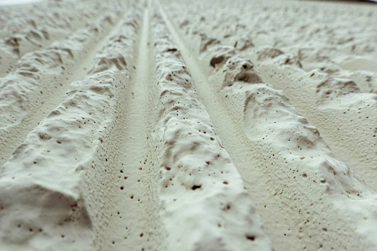 Home Depot Carpet Padding Types: Your Expert Guide to Comfort, Durability & Cost