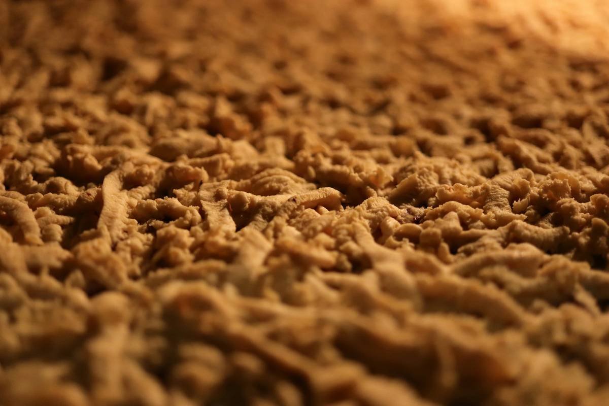 Infographic comparing four common carpet padding types: rebond foam, foam rubber, frothed foam, and fiber pad—showing density ranges, best uses, R-values, and typical lifespan.