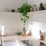 Why Your Dish Soap Matters: The Truth About Products That Are Biodegradable