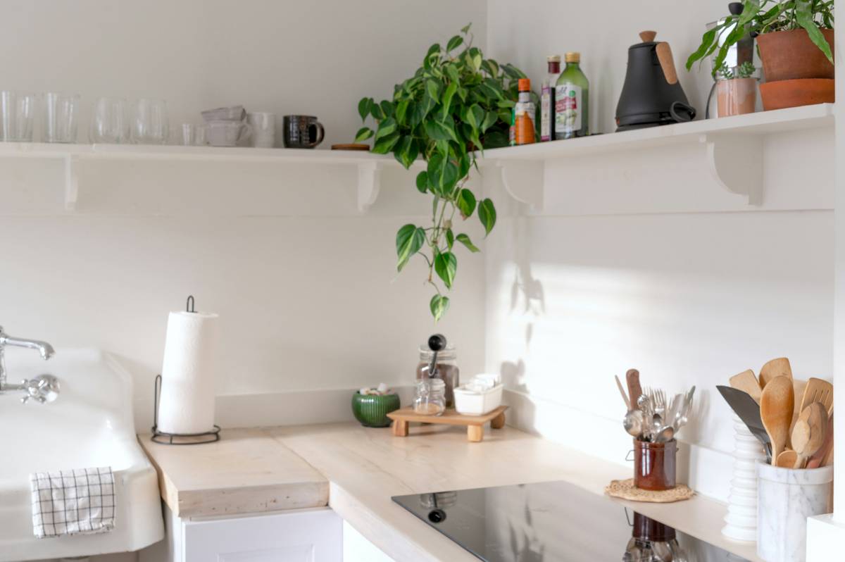 Why Your Dish Soap Matters: The Truth About Products That Are Biodegradable