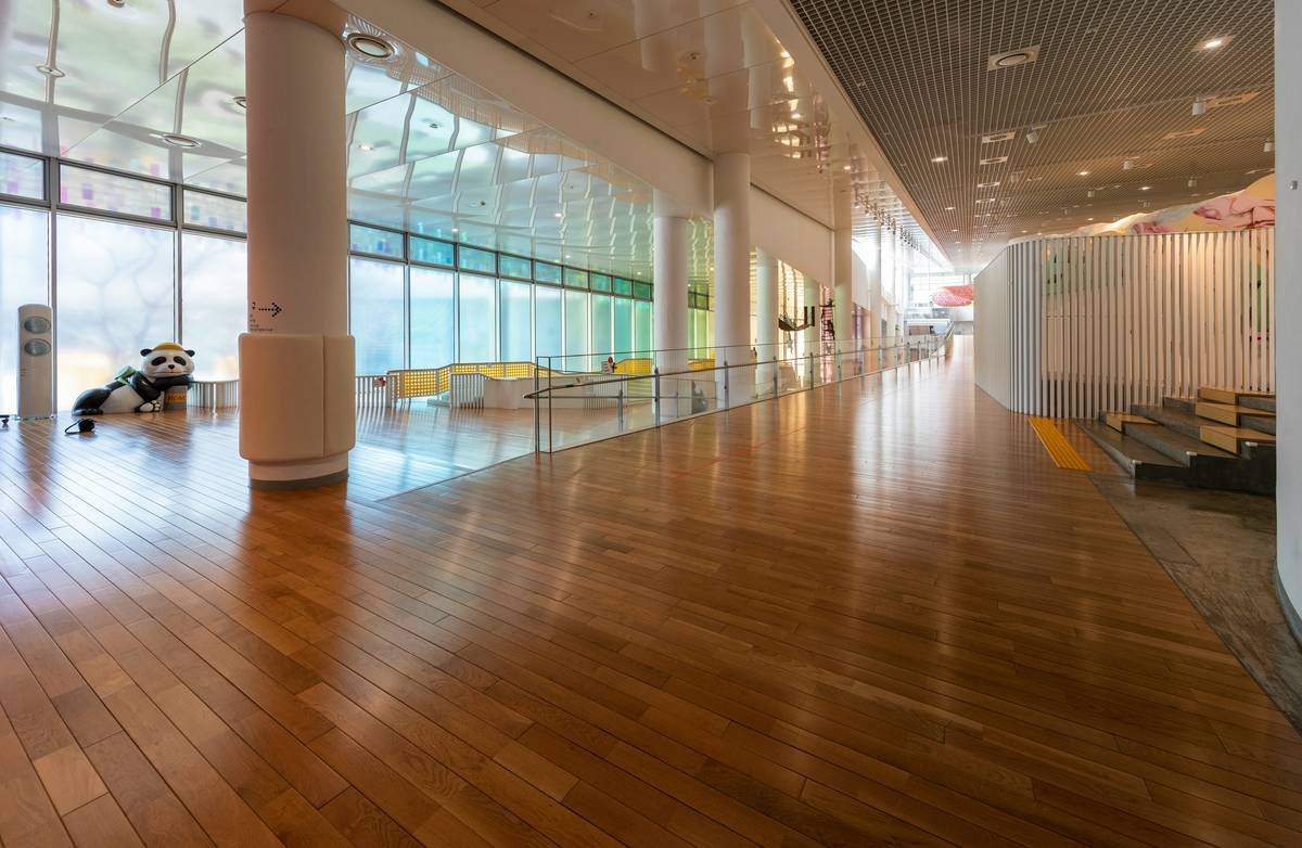 Commercial Carpet Padding Types: What Facility Managers Get Wrong (And How to Pick the Right One)